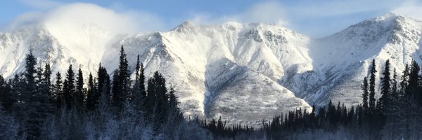 TaniaJSpencer Profile Banner