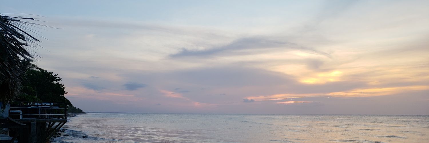 Amanda Radisic, MD banner