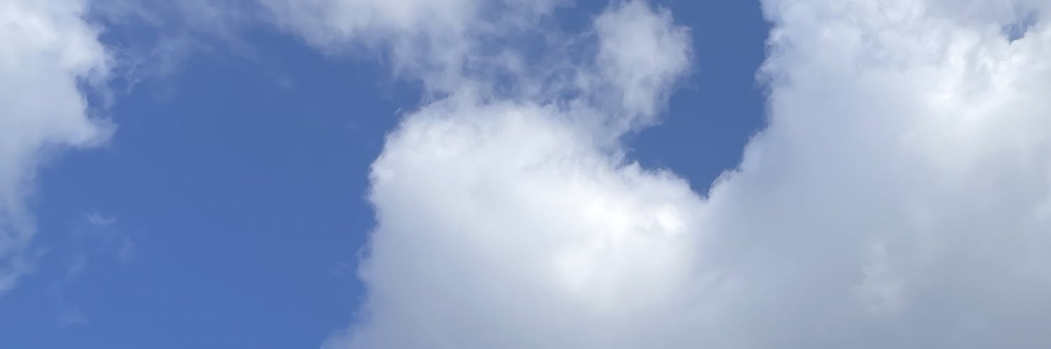 Ruru_045's profile banner image