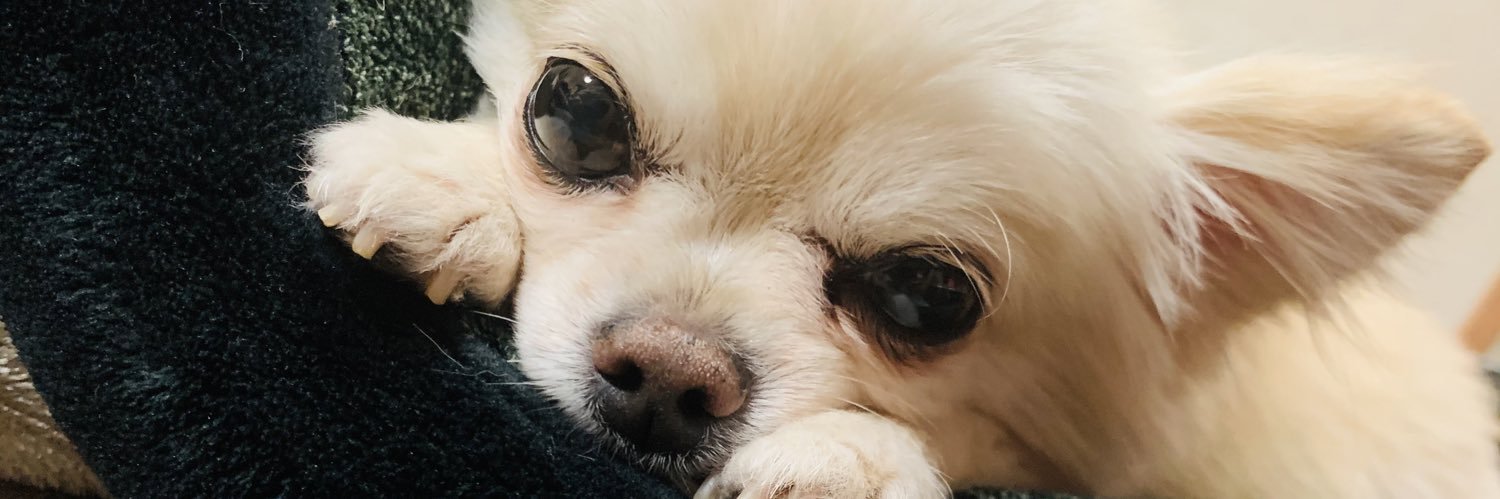 tYuca's profile banner image