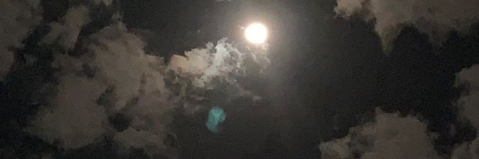 ella banner