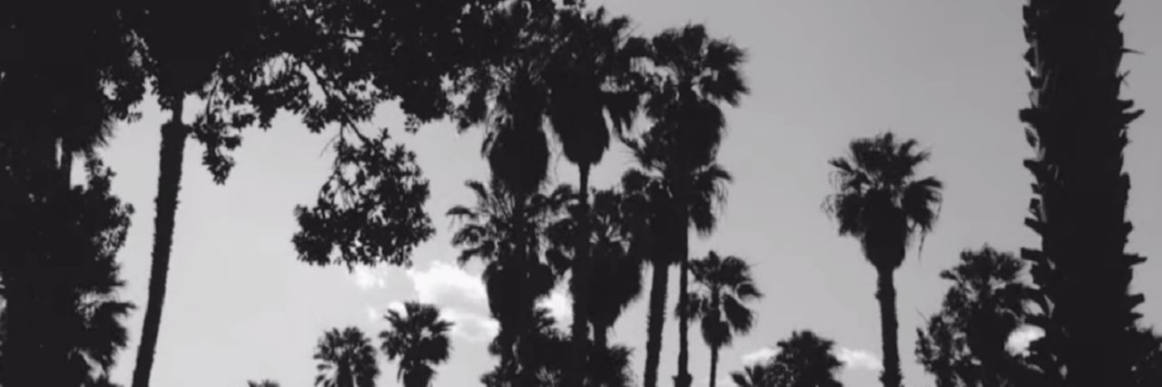 ultraviolence lyrics bot banner