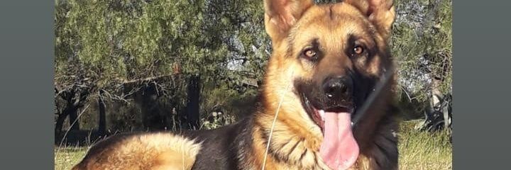Agustin_En's profile banner image