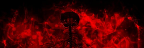 ShinseiSmash Profile Banner