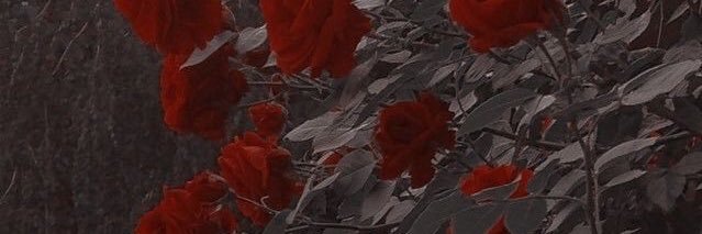 notyearsbbambi's profile banner image