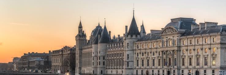 sy 🌸🎡 | binichella banner