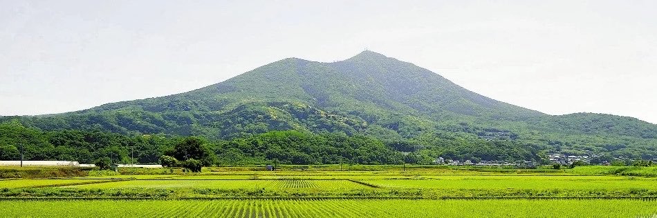cheap_forest's profile banner image