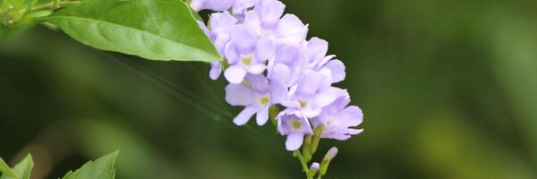 Too20sun Profile Banner