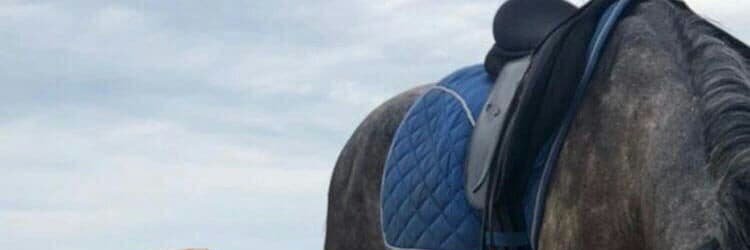 Cindy Voge banner