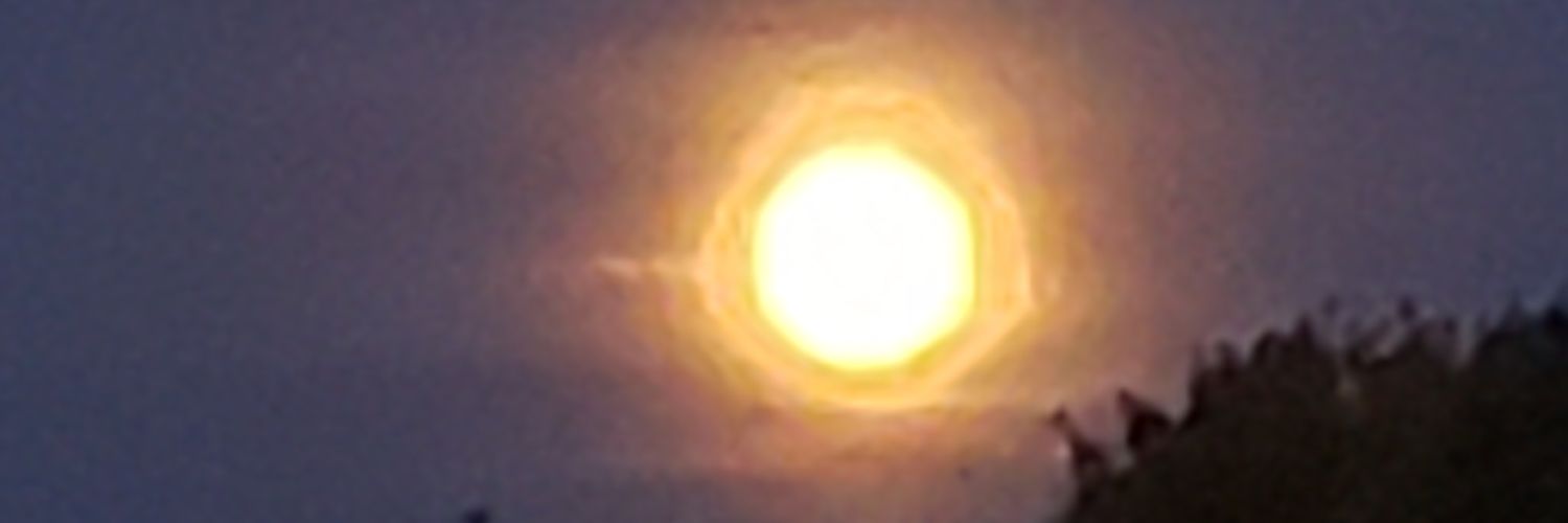 CherryChymes79's profile banner image