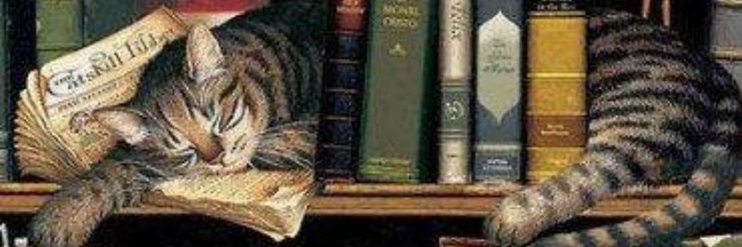 Anahtar54's profile banner image