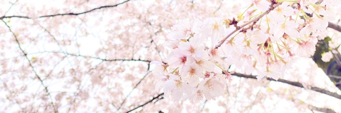 佐々木梓友 banner