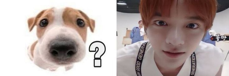 🍞's banner