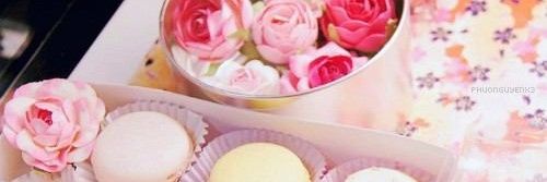 chocolatecocoal's profile banner image