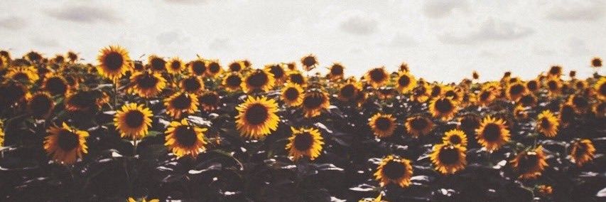 _zoopy's profile banner image