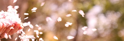 tonarinotama's profile banner image