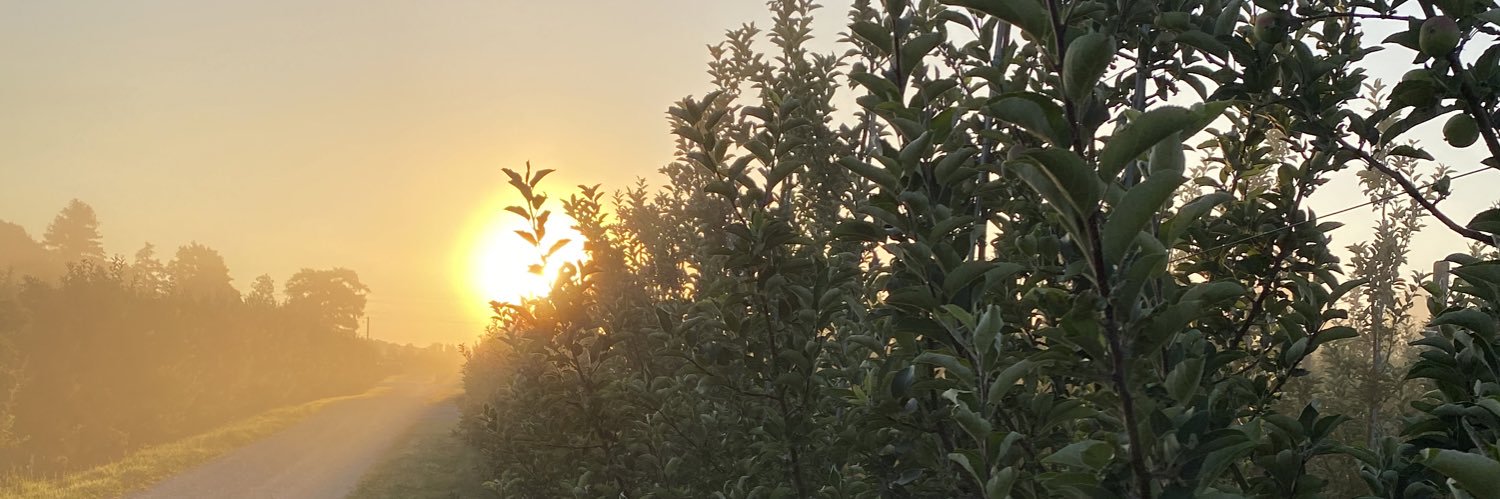 Suncrest Orchards banner