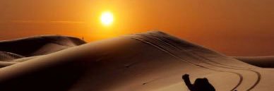 المملكة banner
