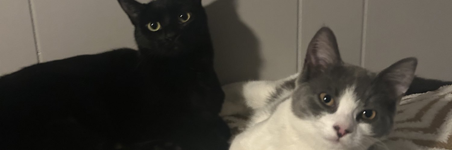 heyitssfinn's profile banner image