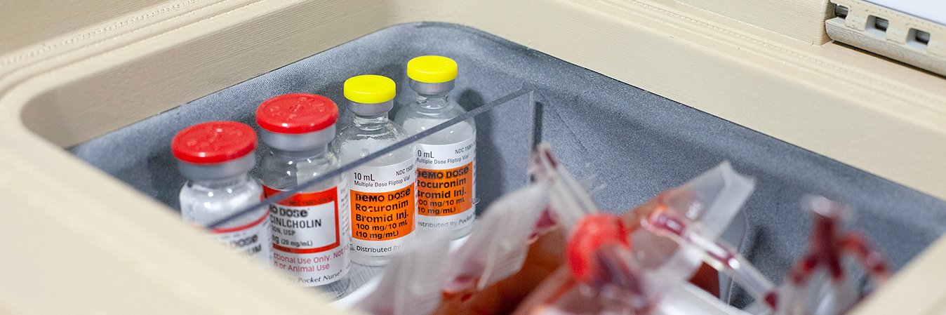 Delta Development Team banner