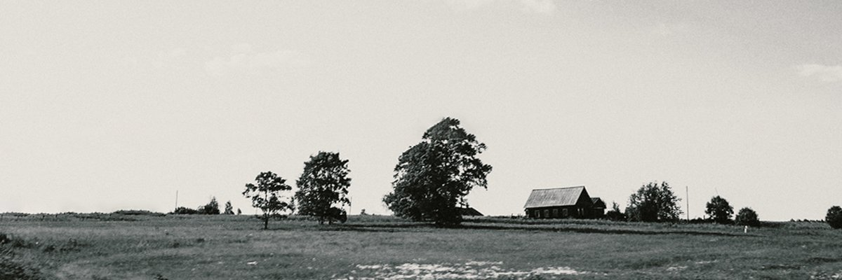 zhivoe1's profile banner image