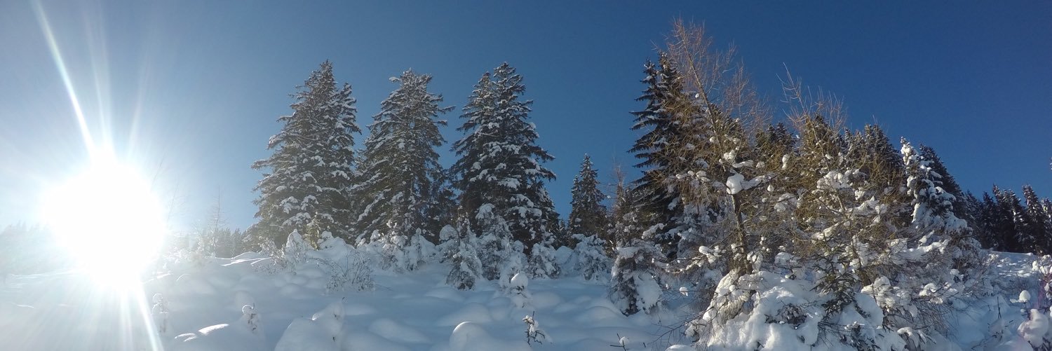 MeLukeTaylor's profile banner image