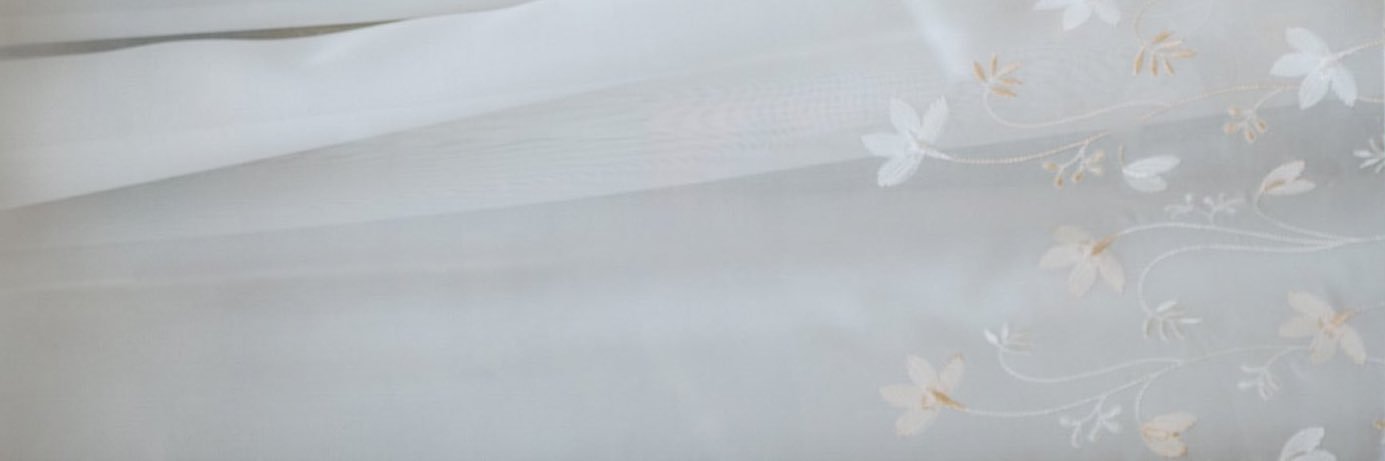 oatmeal updates banner
