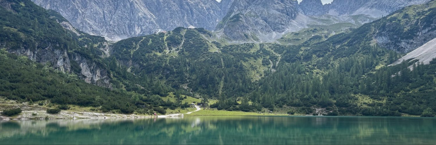 doublesteinbock's profile banner image