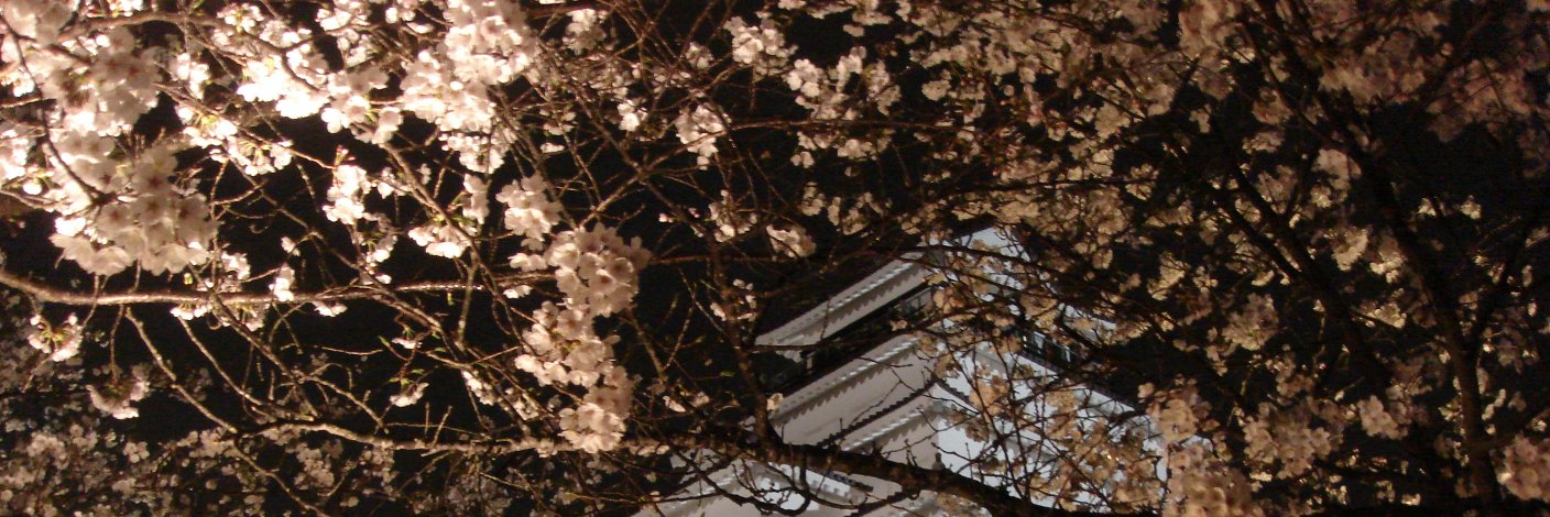 suzuki1020's profile banner image