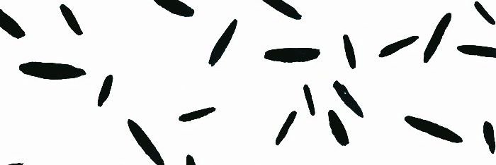 siva_okd's profile banner image