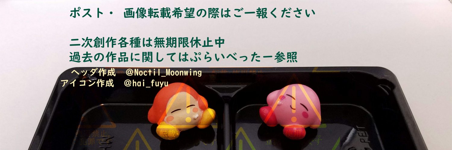 Noctil_Moonwing's profile banner image