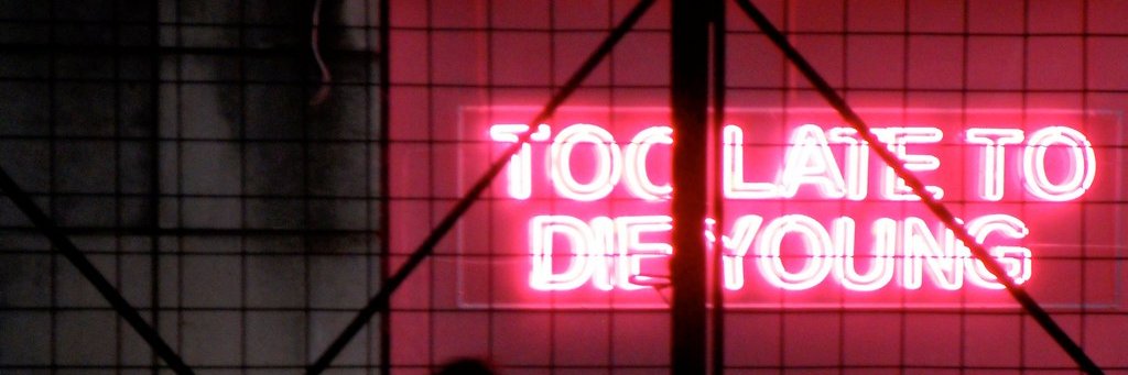 Shnobs banner