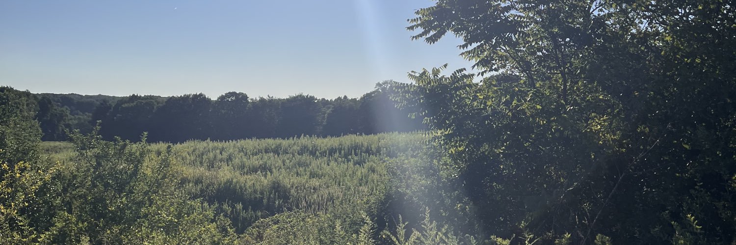 omgitsaids's profile banner image