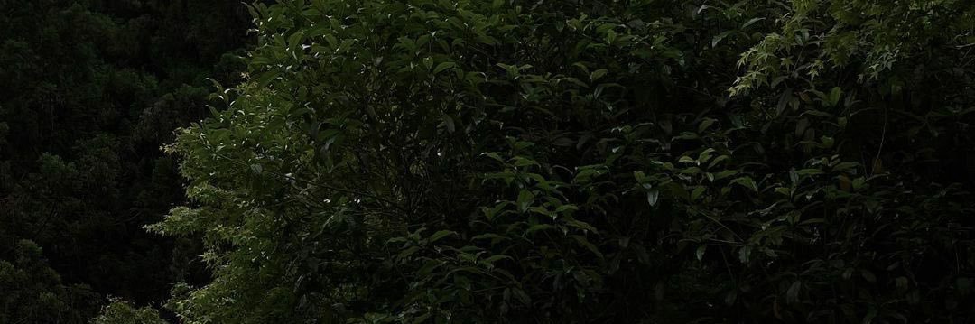 ena banner