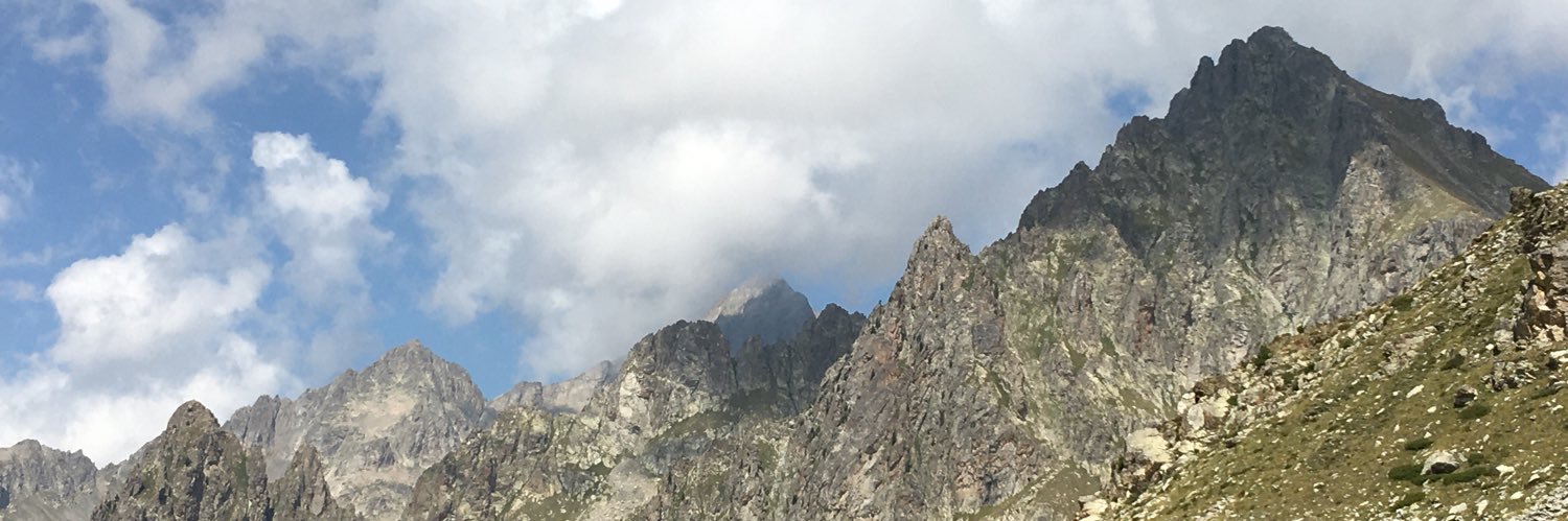 vjanicot's profile banner image