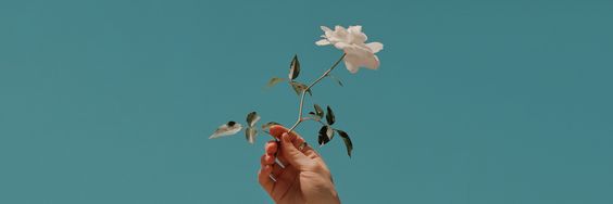 ciellaaa28's profile banner image