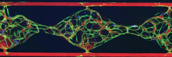 HughesLabUCI Profile Banner