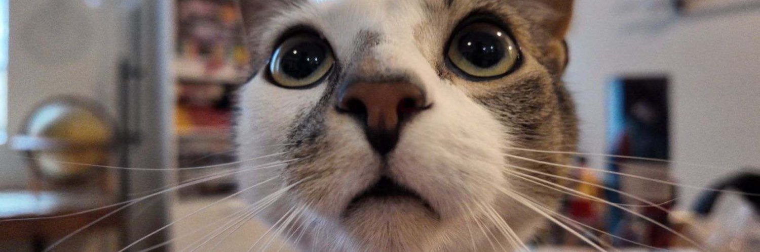 zombie bastard 🍉 banner