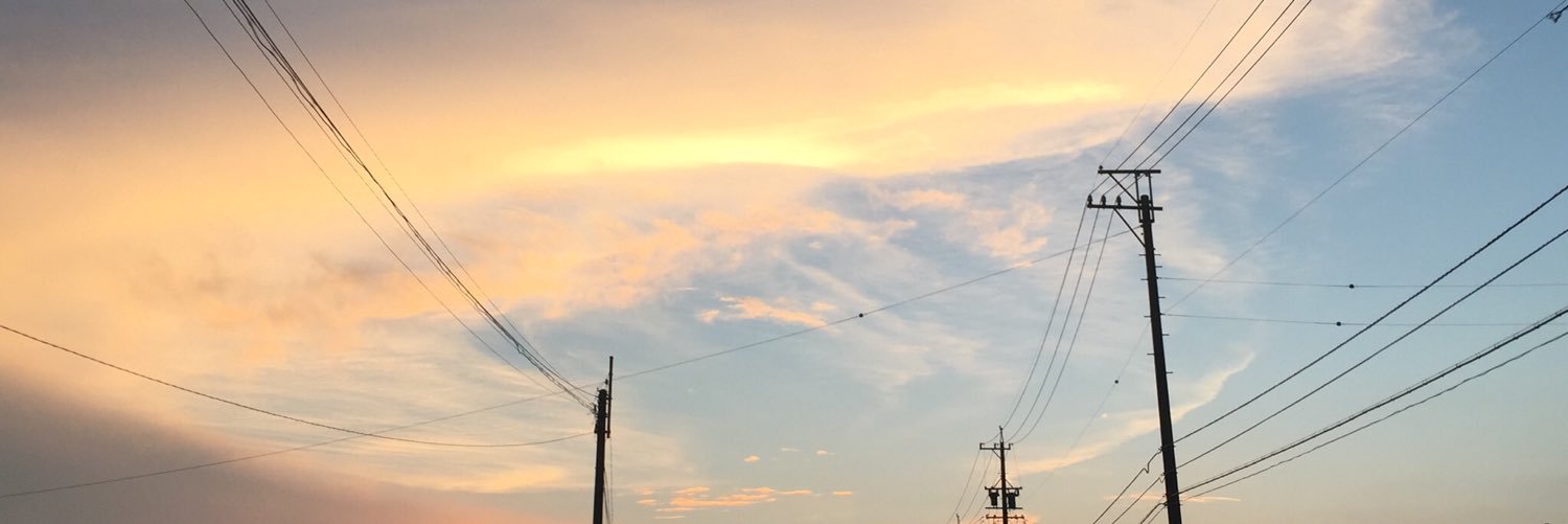 のんたん banner