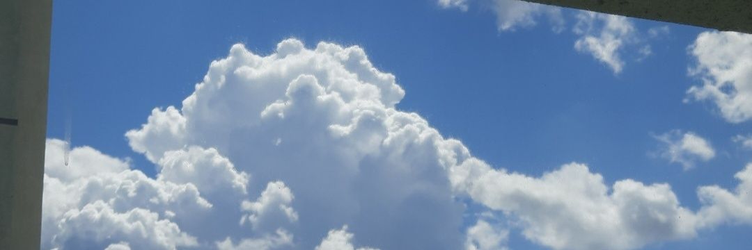 Qing //'s banner