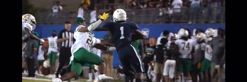 Amarion Duster banner