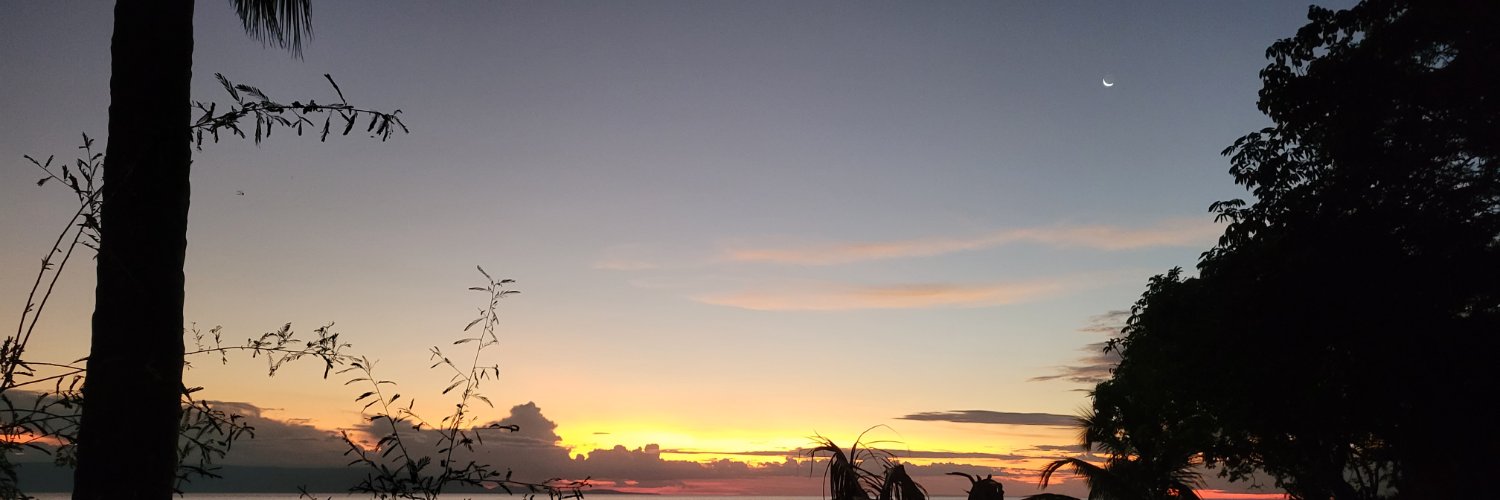 Matthew Peroš banner