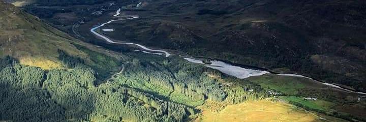 Freddie Johnson banner