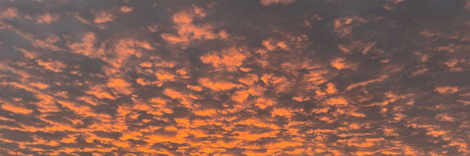 BeastyFro's profile banner image