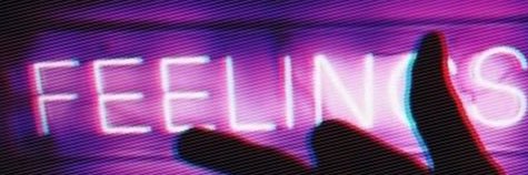 bIusole's profile banner image