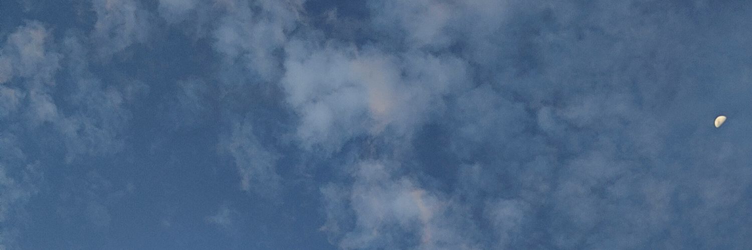 Dslayingcat's profile banner image