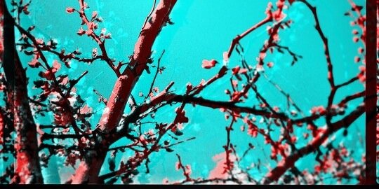 DylanPovey's profile banner image