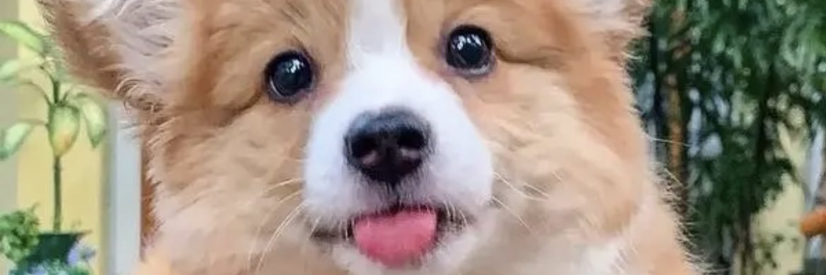 brucejin9527's profile banner image