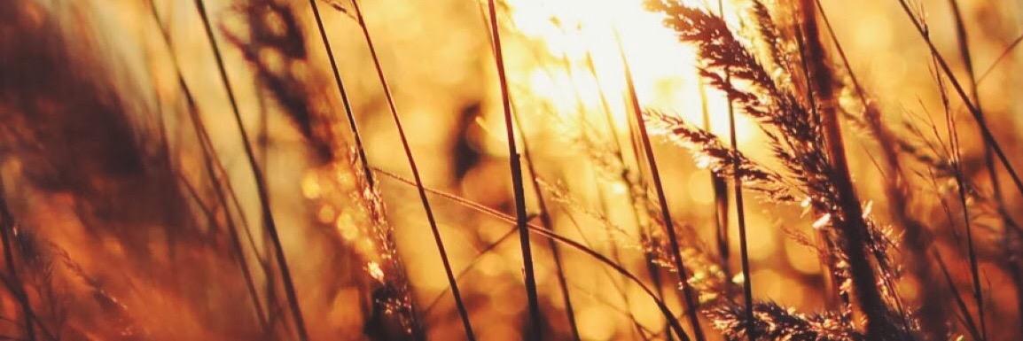 tunaaltunkaya's profile banner image