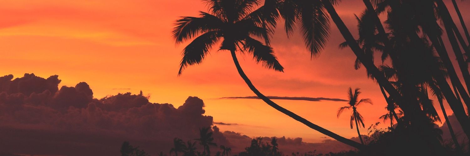 iamleojose's profile banner image